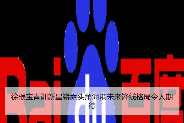 徐根宝青训新星崭露头角海港未来锋线格局令人期待